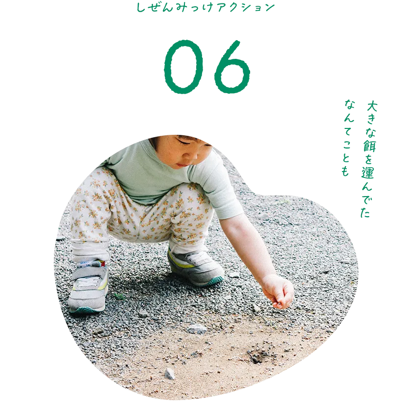 しぜんみっけアクション06