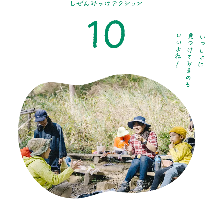 しぜんみっけアクション10