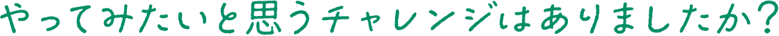 やってみたいと思うチャレンジはありましたか？