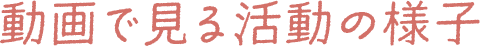 動画で見る活動の様子