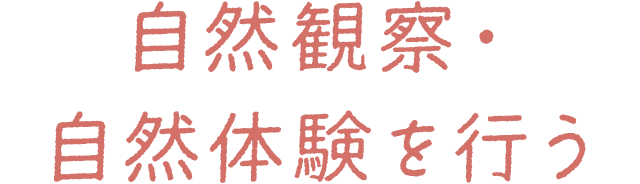 自然観察・自然体験を行う